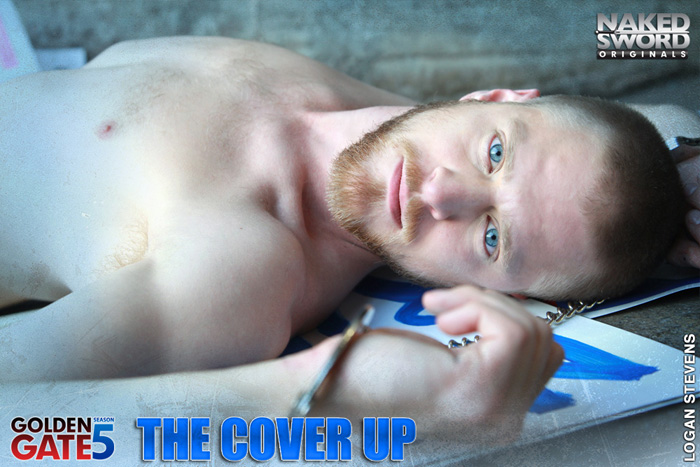 NSV014_theCoverUp_l#2D0029